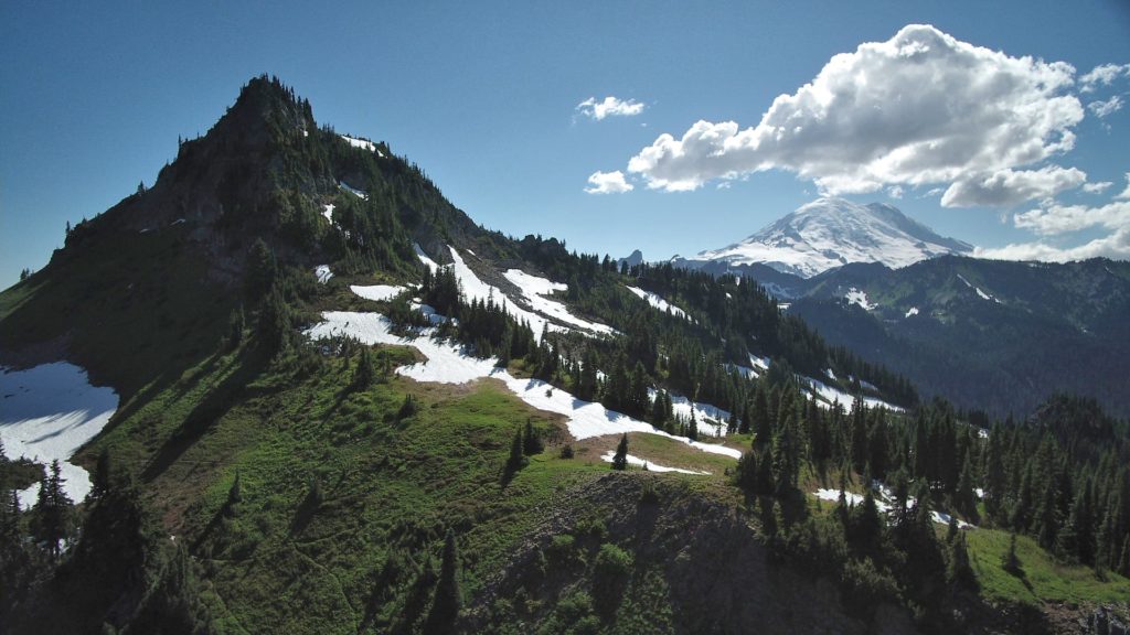 Photo from Oregon section of the PCT